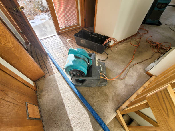 Water damage restoration process in Forest Lake, MN